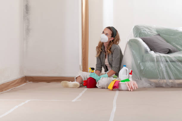 Reliable Mold Testing contractor in Landing, NJ by WQB Mold Removal